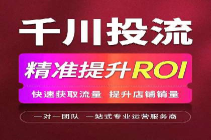 行业领先SEM托管代运营案例